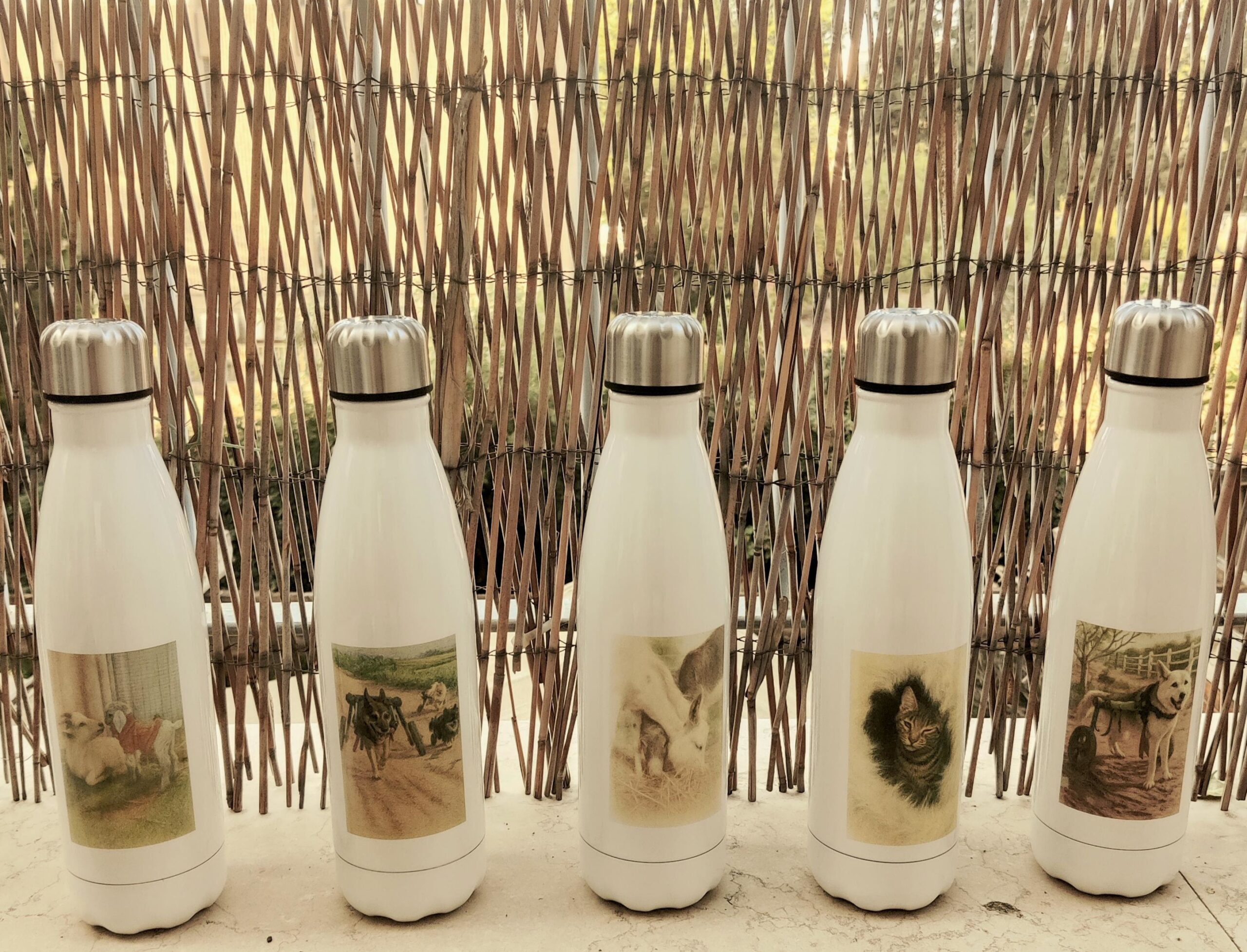 בקבוק תרמי בנפח של 500 מ”ל עם איור של דידי ותמר העיזים ולוגו של חוות קרן אור – תמונה 2