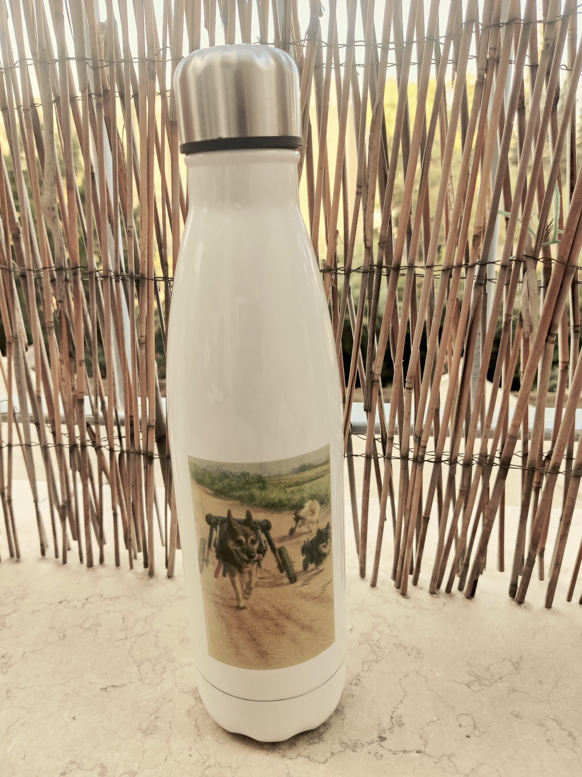 בקבוק תרמי בנפח של 500 מ”ל עם איור של לוקי, מיני, ולואי הכלבים ולוגו של חוות קרן אור