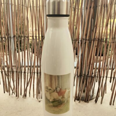 בקבוק תרמי בנפח של 500 מ”ל עם איור של דידי ותמר העיזים ולוגו של חוות קרן אור