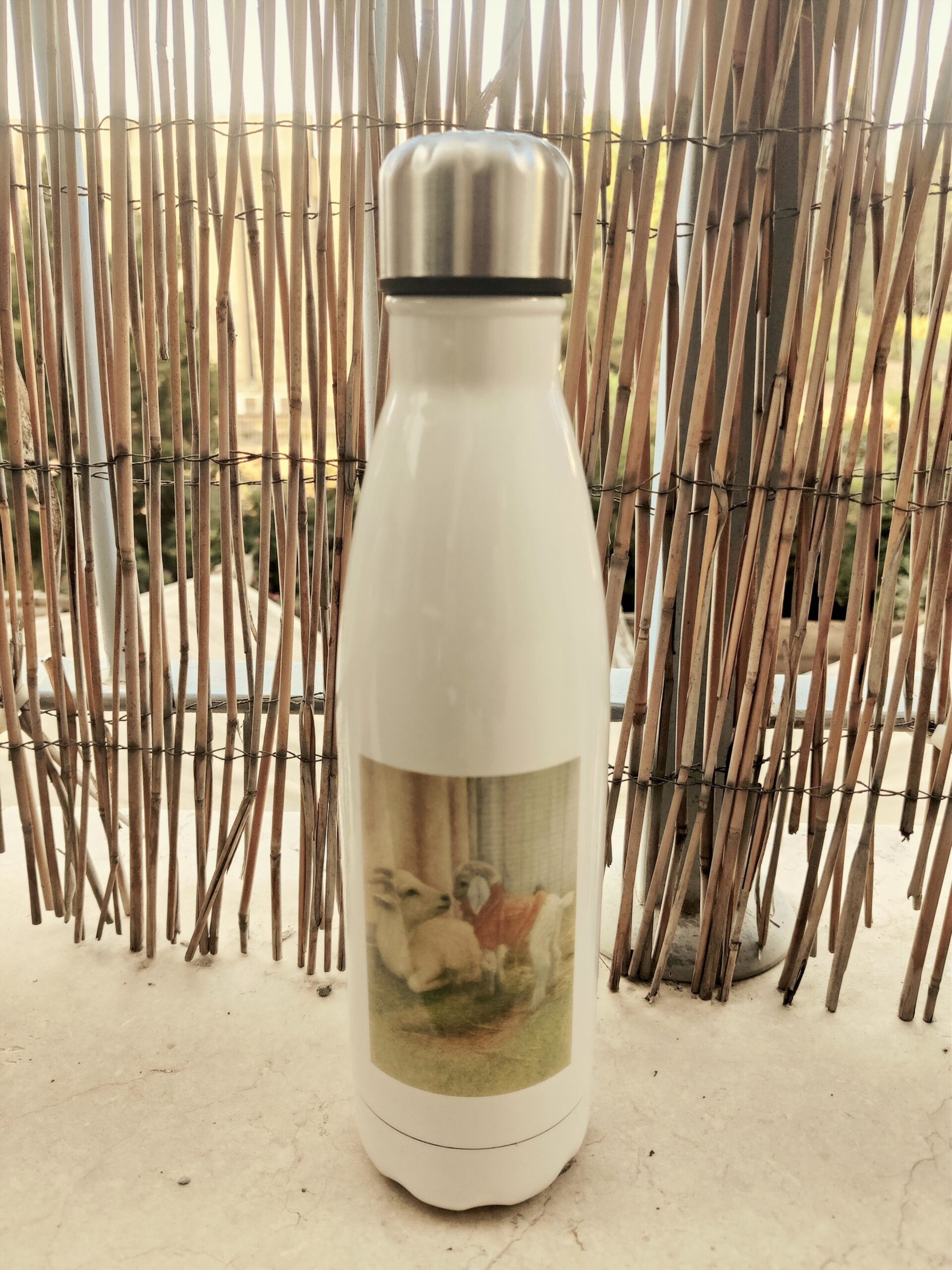 בקבוק תרמי בנפח של 500 מ”ל עם איור של דידי ותמר העיזים ולוגו של חוות קרן אור