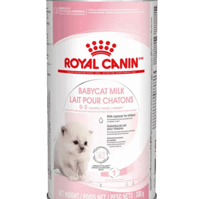 רויאל קנין / Royal Canin אבקת חלב לגורי חתולים - 300 גרם