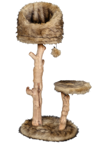 מתקן גירוד פטקס PETEX לחתול דגם HY18340